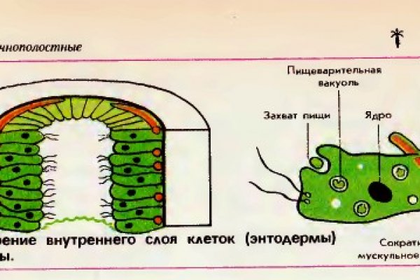 Дарк маркетплейс кракен